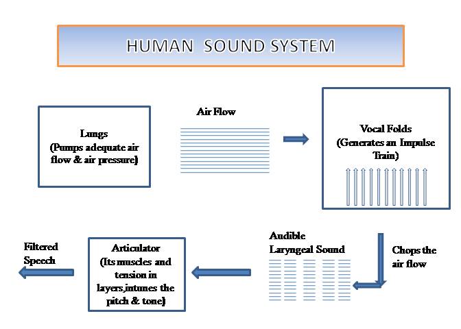 Female Sound