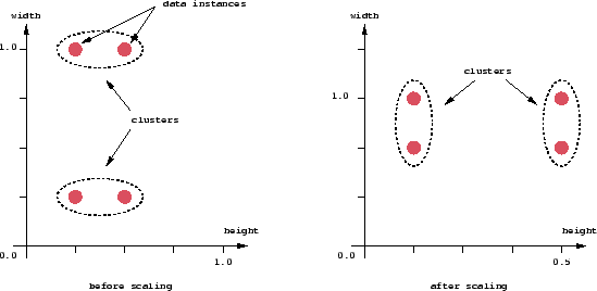 Scaling OldKiwi.gif