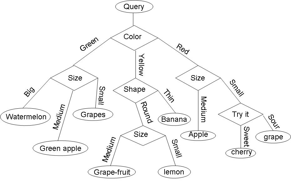 Decision tree Old Kiwi.jpg