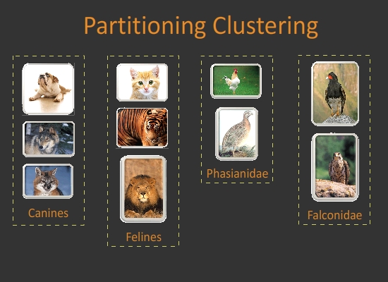 PartitionCluster OldKiwi.jpg