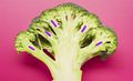 Broccoli fractal.jpg