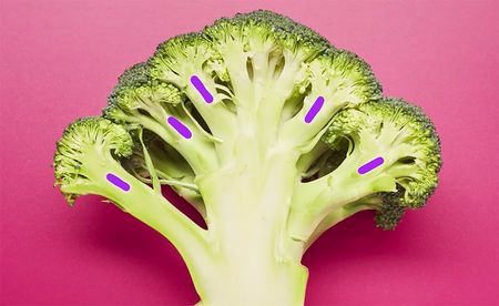 Self-similarity in a broccoli