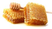 Honeycomb.jpeg